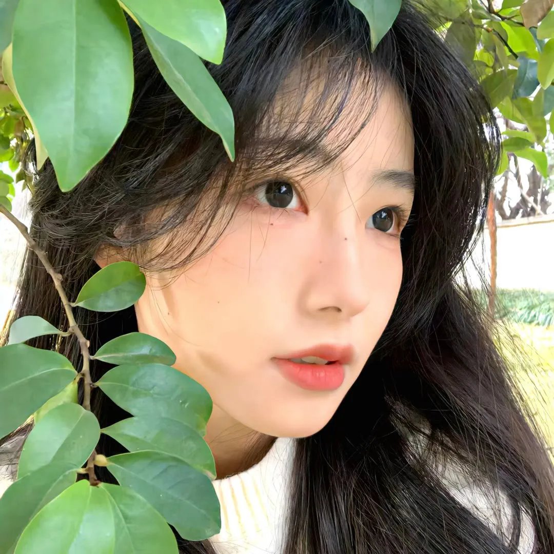 良宵花弄月
